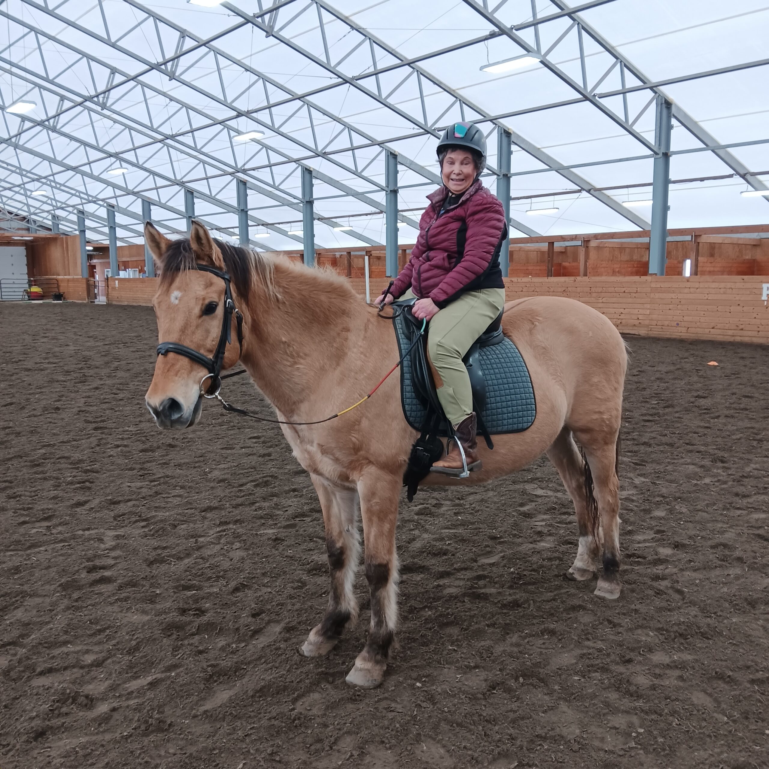 A rider in a helmet and jacket sits on a bay horse inside an indoor riding arena with a dirt floor and high, glass-paneled roof, preparing to move off at a collected walk across the arena.