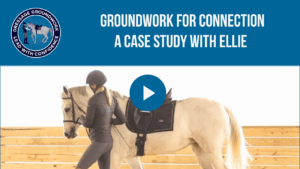 A student in casual riding attire leads a grey horse through an arena, demonstrating groundwork exercises fundamental to dressage connection. The text above reads: “Groundwork for Connection: Ellie's Transformation – A Case Study,” with the Dressage Groundwork logo visible in the corner.