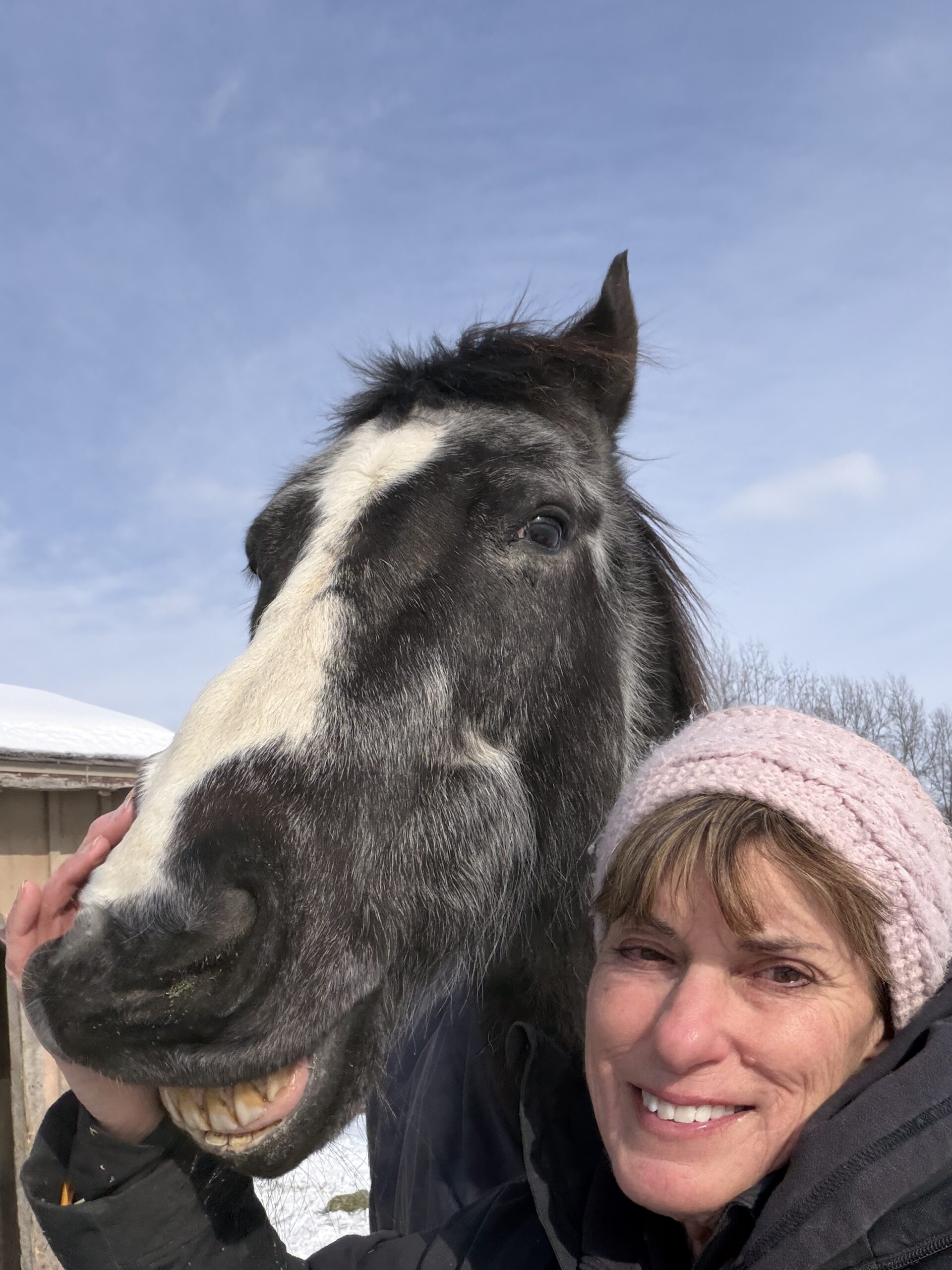 A student in a pink knit hat smiles as she poses for a close-up selfie outdoors with a black and white pinto horse, both enjoying the camaraderie developed through groundwork on a sunny winter day.