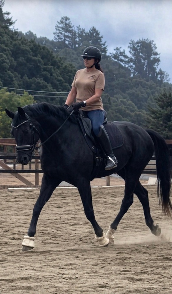 A student wearing a helmet and sunglasses rides a dark bay Barb horse in an outdoor sand arena. The pair appear to be working on straightness along the long side, with trees and a wooden post-and-rail fence in the background.