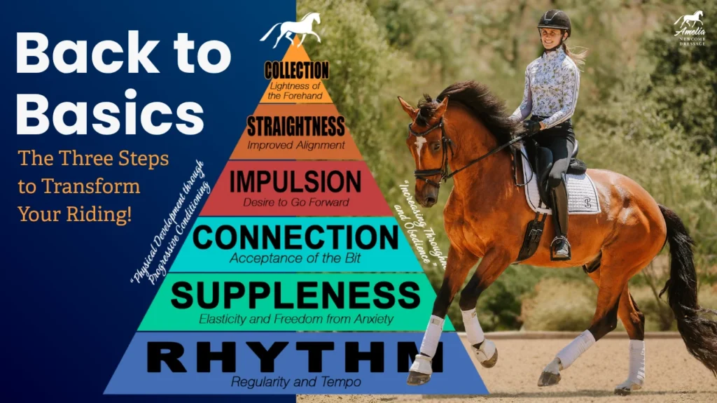 A rider on a bay horse demonstrates a working trot in dressage, positioned beside a vibrant training pyramid featuring the sequential elements of the classical Training Scale: Rhythm, Suppleness, Connection, Impulsion, Straightness, and Collection. The image includes text stating “Back to Basics – The Three Steps to Transform Your Riding!”—reinforcing that systematic progression through foundational principles is essential for effective problem-solving and progress in dressage.