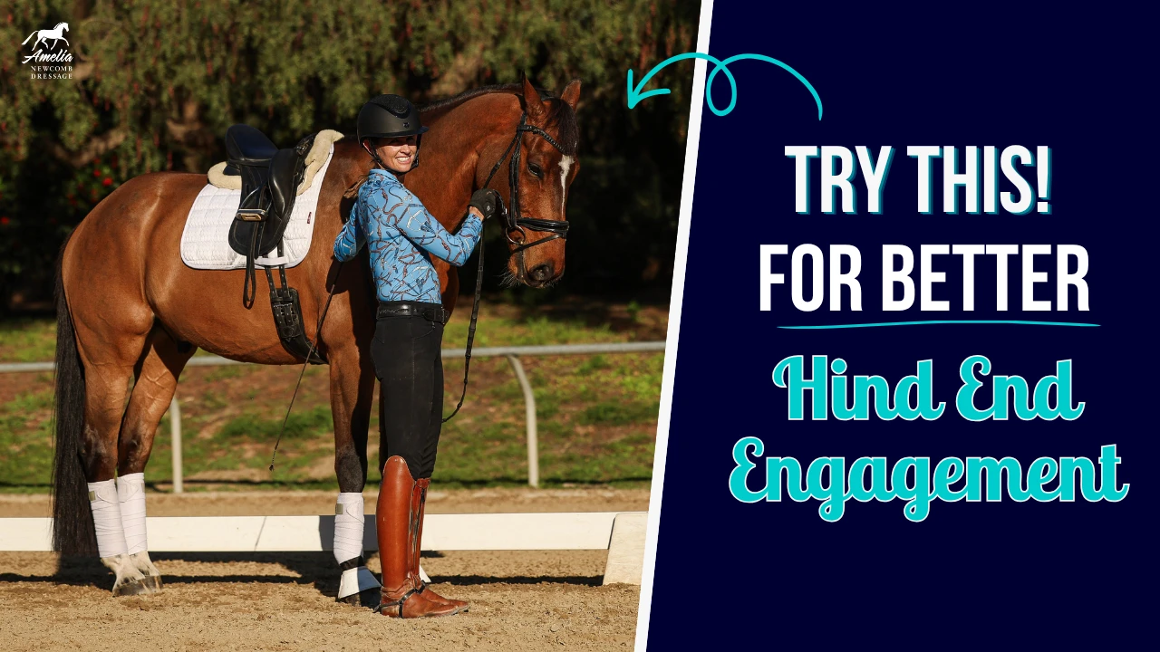A rider in casual equestrian attire stands beside a bay horse in a sandy dressage arena. The image features the text: Try this! For improved engagement of the hindquarters and to develop the topline, set against a blue background.