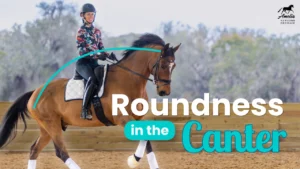 A rider on a bay horse in an outdoor arena demonstrates maintaining correct roundness and engagement during the canter, as indicated by the text: Roundness in the Canter. The horse travels with supple contact and hindquarter activity, showing elevated self-carriage typical of proper canter work. Trees and a wooden perimeter fence are visible in the background.