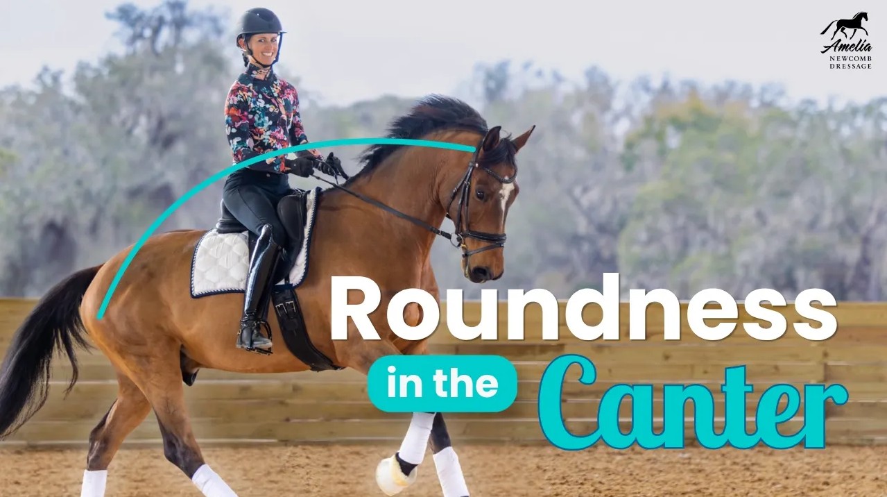 A rider in a colorful jacket canters on a bay horse in an outdoor arena, maintaining consistent suppleness and connection to keep the horse correctly round through the canter stride. The text overlay reads “Roundness in the Canter.” Mature trees and a wooden fence frame the background.