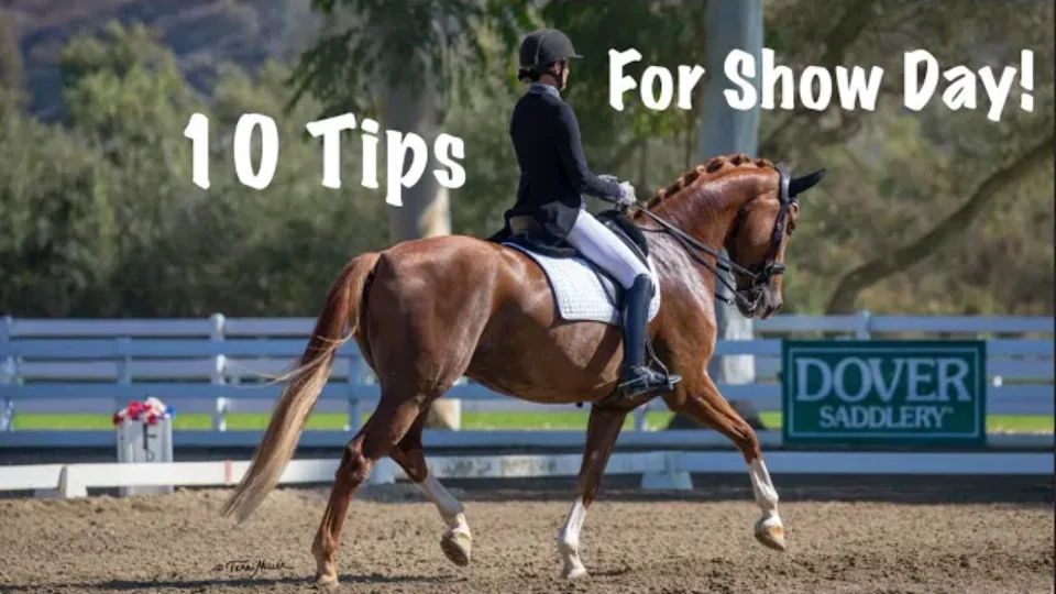 A rider in formal attire sits on a brown horse performing dressage in an outdoor arena. White text reads 10 Tips For Show Day! and a green Dover Saddlery sign is visible—perfect dressage show tips for your next competition.