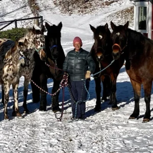 A person in a pink hat and winter jacket stands outdoors on snow, holding the reins of four large horses: one spotted and three dark-colored, in front of a building and trees.