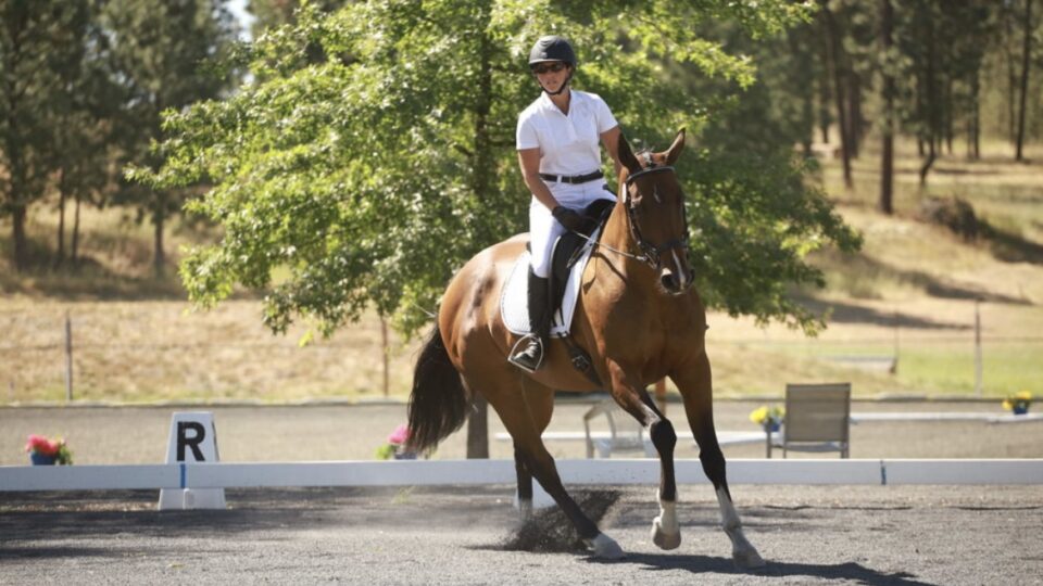 Rider Cathy, dressed in white riding attire and a helmet, guides a brown horse at trot near the R marker in an outdoor dressage arena—an ideal scene to Train your Eye for riding training fundamentals.