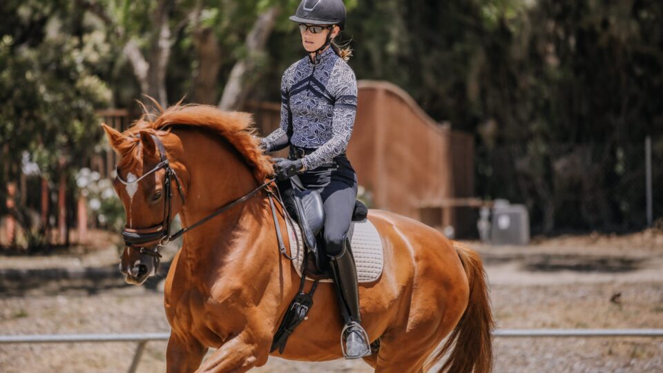 A person in a helmet and riding gear practices dressage training on a chestnut horse in an outdoor area, with trees and a fence in the background.