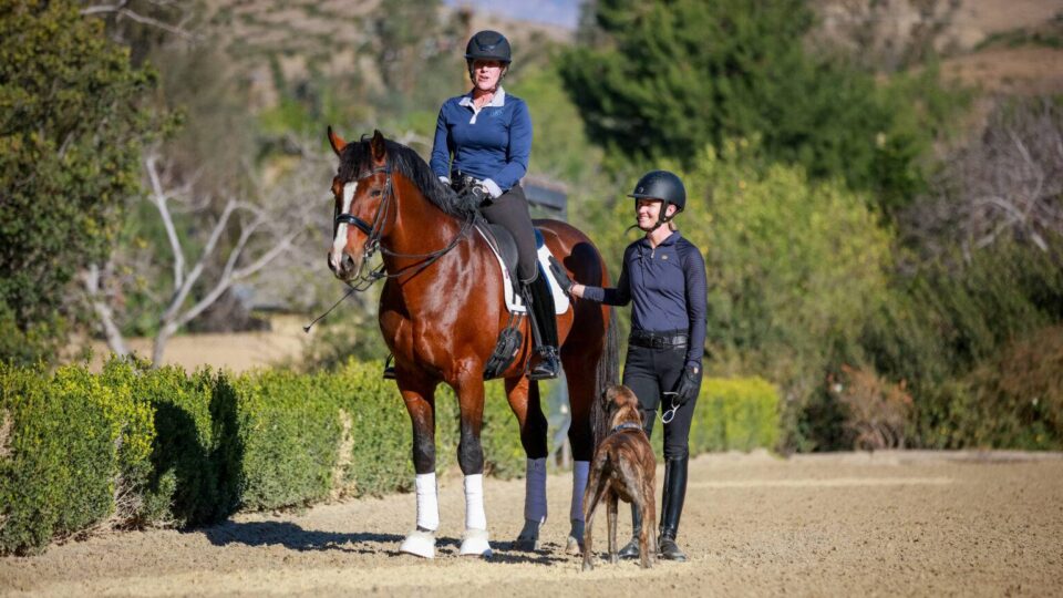 Two women in riding gear, one sitting on a brown horse and the other standing beside them holding a dog on a leash, are outdoors on a sandy path amid green shrubs and hills, perhaps enjoying dressage training.