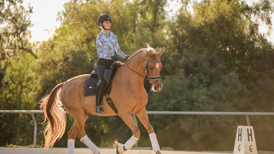 A rider in a helmet and floral shirt trots a chestnut horse with white leg wraps and a black saddle in an outdoor dressage arena, sunlight and trees in the background—perfect for listening to Heels Down Happy Hour Podcast Episode 122.