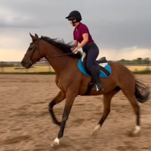 A person wearing a helmet, sunglasses, and a maroon shirt rides a brown horse with a blue saddle pad in a sandy outdoor arena under a cloudy sky.
