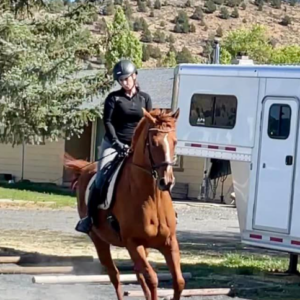 A person wearing a black helmet and outfit rides a brown horse on a gravel surface near a white horse trailer, with trees and a hill in the background under a blue sky.