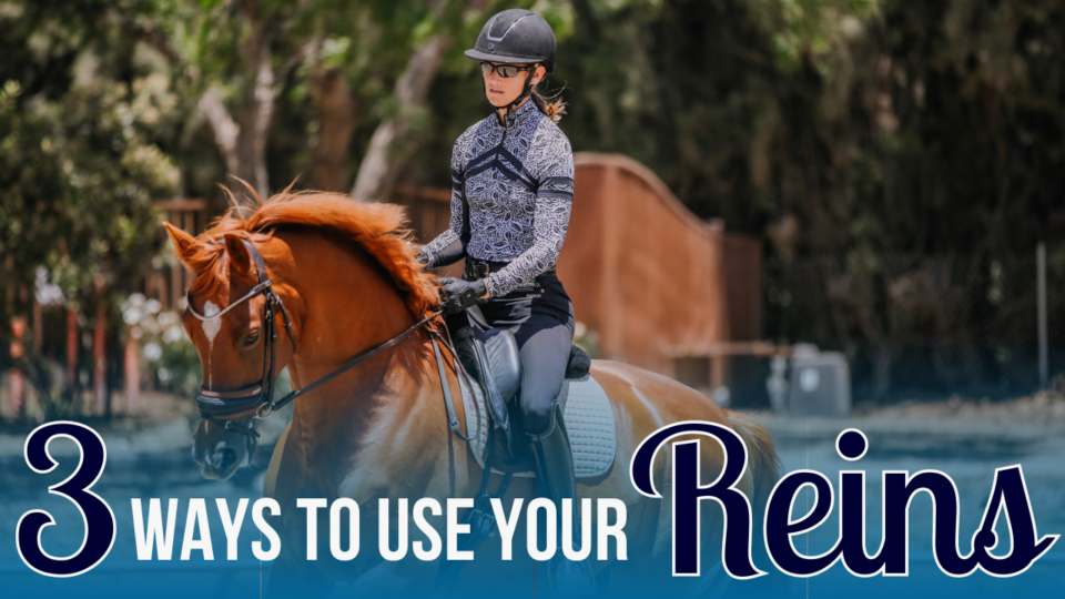 A person in riding gear and helmet practices rein aids while riding a chestnut horse outdoors. Overlay text reads, 3 WAYS TO USE YOUR Reins. Trees and a wooden structure are visible in the equestrian background.