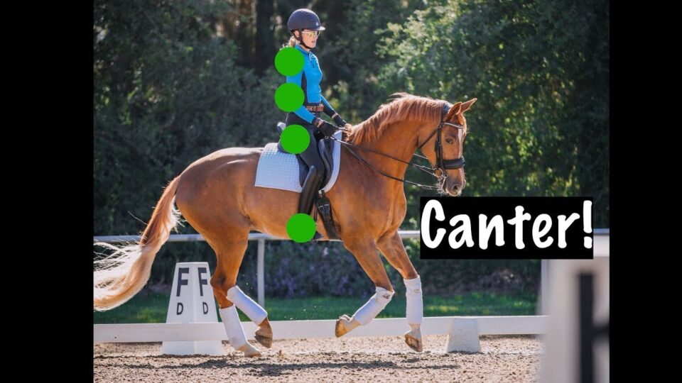 A person in a blue shirt and helmet rides a chestnut horse in an arena. Four green dots highlight a vertical line along the rider’s body. The word “Canter!” appears in bold on the right.