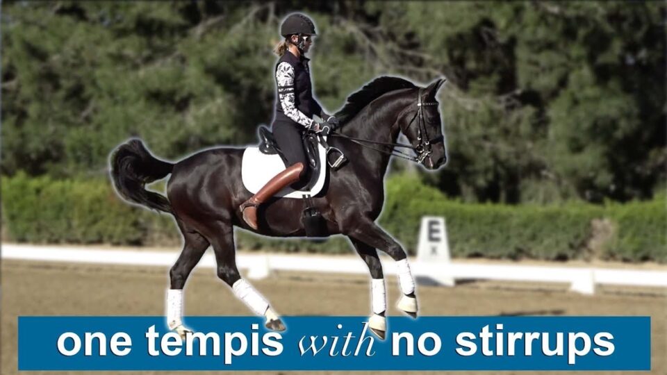 A rider in equestrian gear performs dressage on a dark horse without using stirrups. Text at the bottom reads, one tempis with no stirrups. Trees and a dressage arena are in the background.