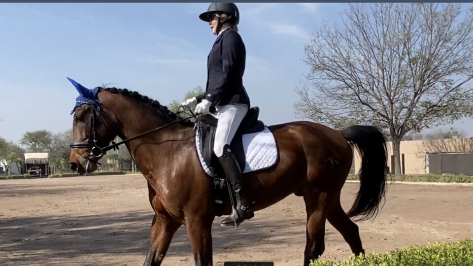 Strides Member Sara sits upright on a brown horse with a braided mane and blue ear covers, wearing a riding outfit and helmet in an outdoor arena with trees and buildings in the background.