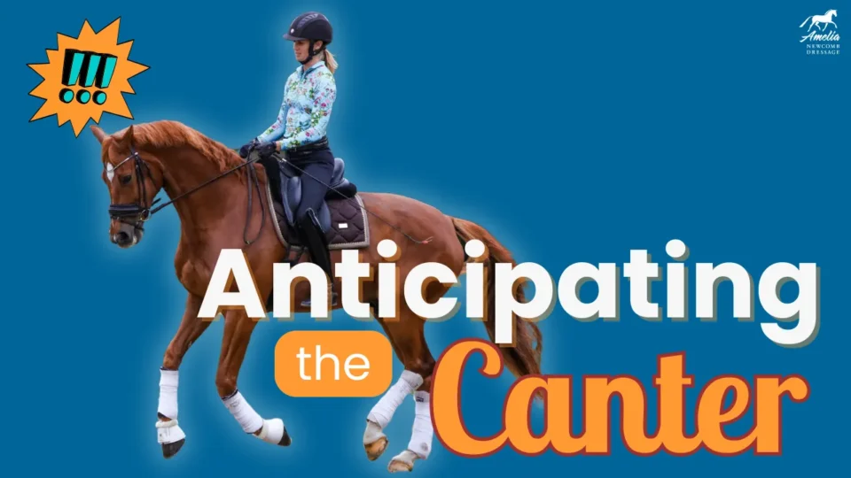 A person riding a chestnut horse in an English saddle, with the text “Anticipating the Canter” on a blue background. An orange icon with exclamation marks highlights how horses anticipate the canter.