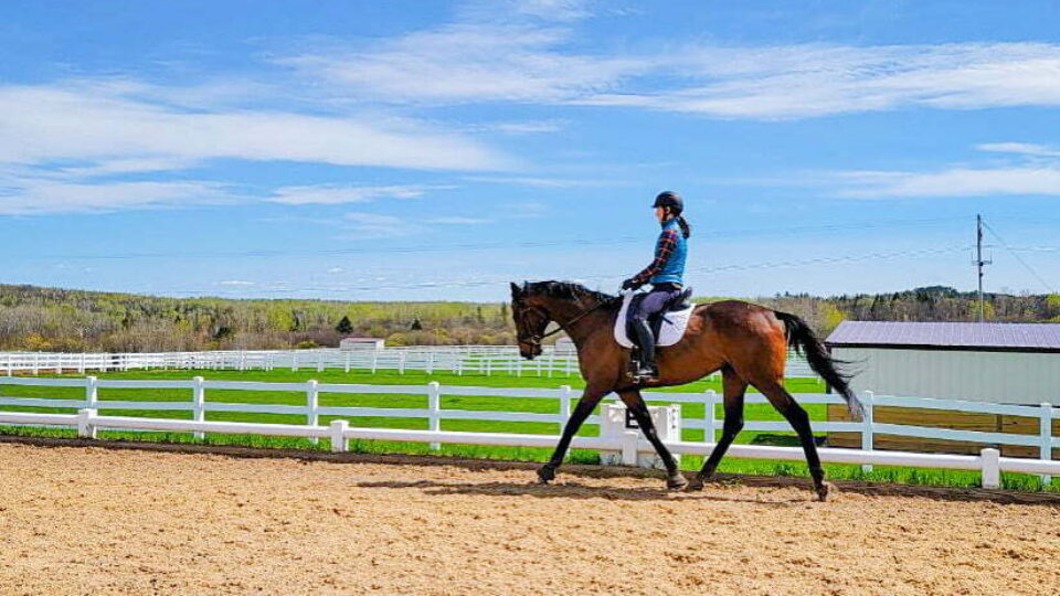 A person wearing a helmet rides a brown horse in an outdoor sandy arena, framed by a white fence, green fields, and blue sky—an ideal scene to Train Your Eye, just like at Kjersin.