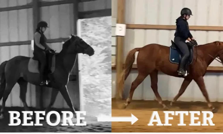 Side-by-side images show a person riding a horse. Left: black-and-white, rider sits upright, horses head is up (BEFORE). Right: color, rider sits balanced, horse is more collected and moving forward (AFTER).