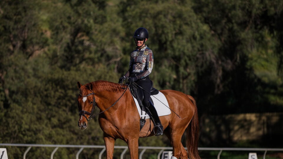 A person in an equestrian helmet and patterned shirt is riding a chestnut horse in an outdoor arena, surrounded by trees, with lettered dressage markers visible on the fence.