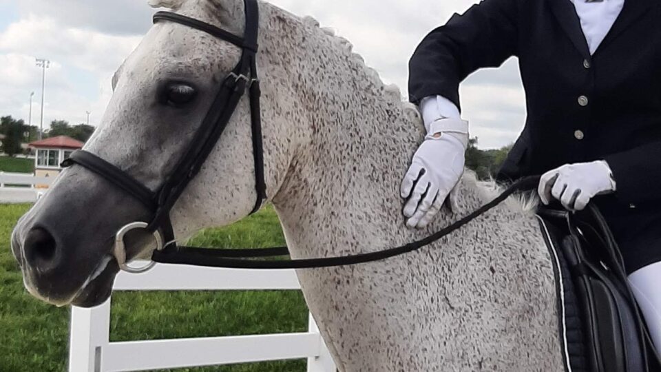 Strides Member Diana, in formal riding attire, smiles while sitting on a dapple grey horse near a white fence, with a grassy area and cloudy sky in the background.
