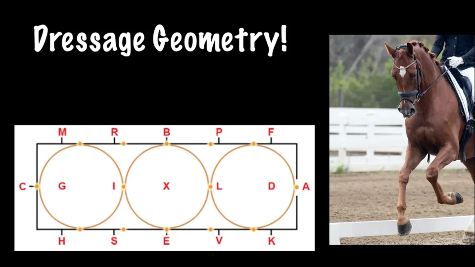 A diagram illustrating dressage geometry, including labeled points and a 20m circle, is shown beside a photo of a horse and rider performing dressage near a white fence. Perfect for learning to ride accurate patterns.