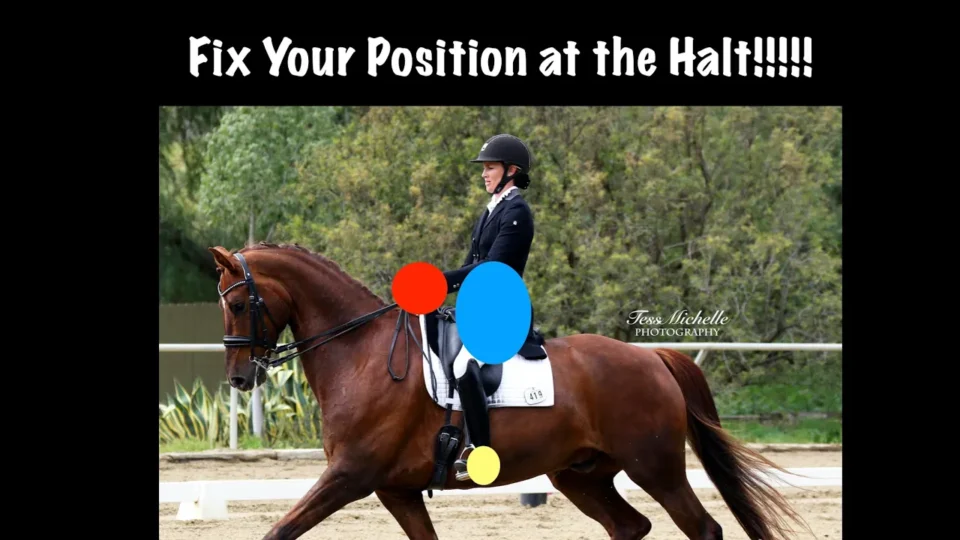 fix your position at the halt