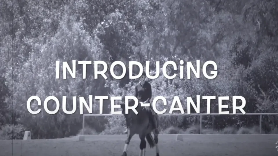 How to Introduce the Counter Canter