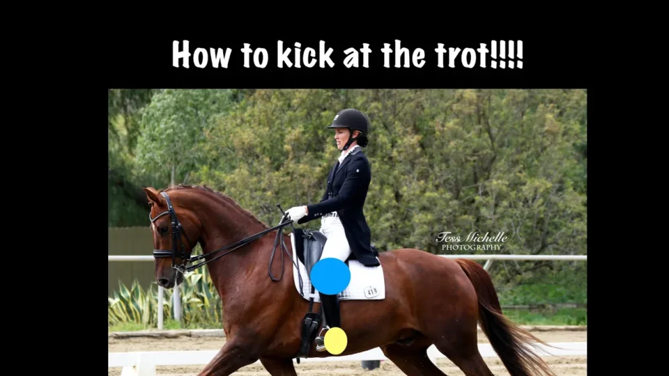 A rider in formal equestrian attire trots on a brown horse during a dressage event. The image features text at the top reading How to kick a horse at the trot!!!! and colored dots highlight the rider's legs.