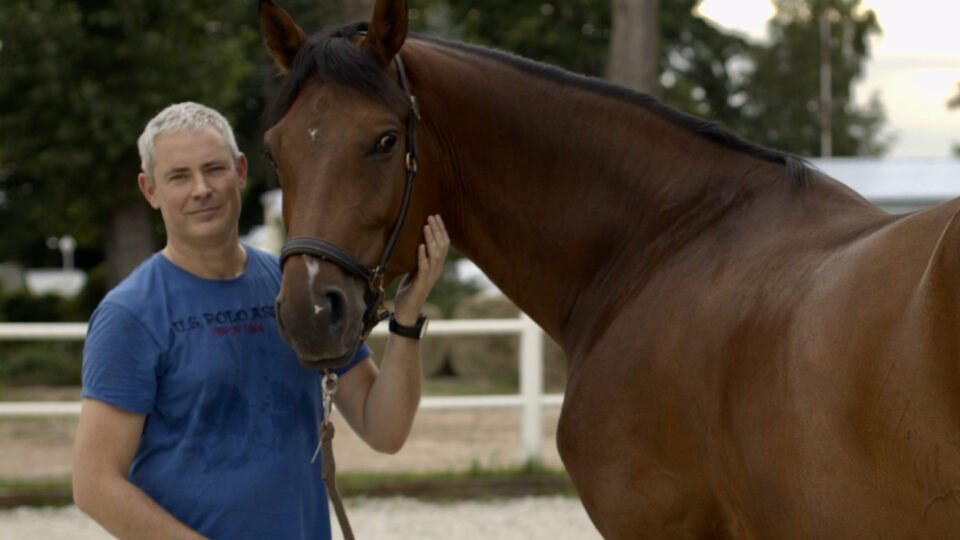 Strides member Michal, a man with short gray hair in a blue T-shirt, stands next to a brown horse, holding its lead and petting its face in an outdoor riding arena with trees and a fence in the background.