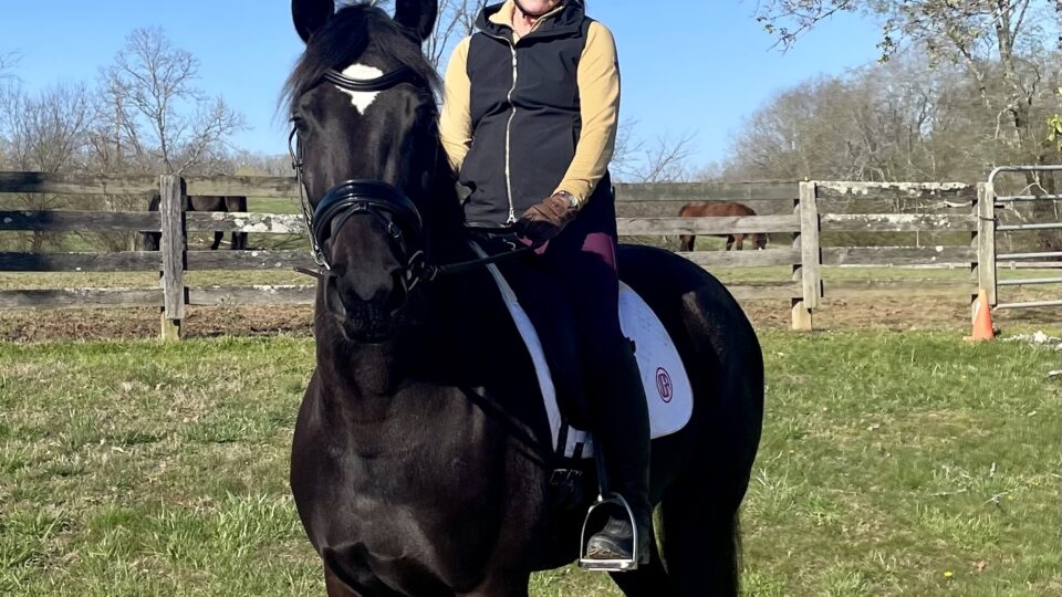 Strides member Diane, wearing a helmet and riding gear, smiles while sitting on a black horse with a white spot on its forehead, outdoors on a sunny day with a wooden fence and trees in the background.