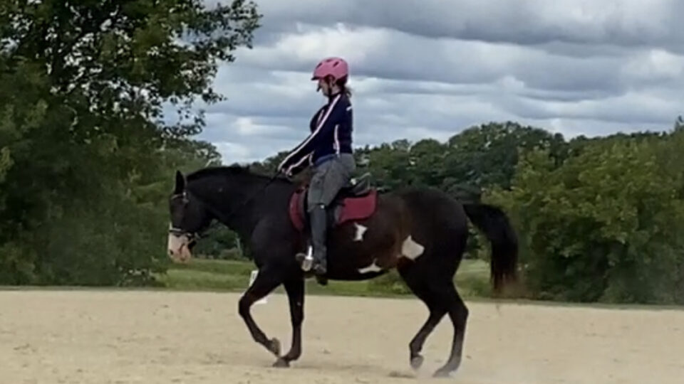 A student, wearing a pink helmet, rides a piebald horse with a pink saddle pad in a sand-based outdoor arena at Strides. The horse is working in the arena bordered by lush green trees under an overcast sky.