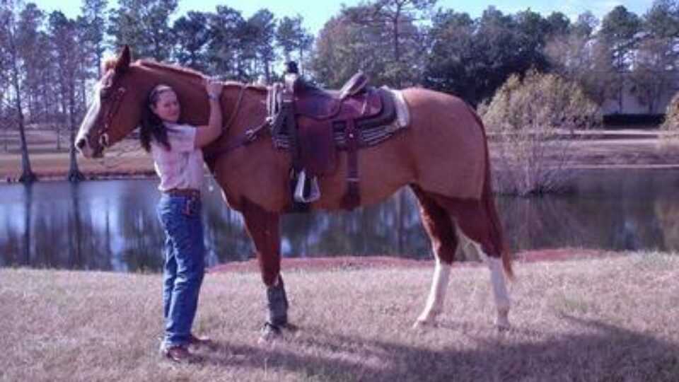 Donna, a Strides member, stands on the grass hugging the neck of a saddled brown horse near a pond, with trees and blue sky in the background.