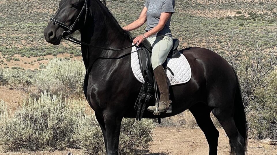 Strides member Rebekah, wearing a helmet and riding gear, sits on a black horse with a white saddle pad outdoors in a dry, shrub-dotted landscape with mountains and blue sky in the background.
