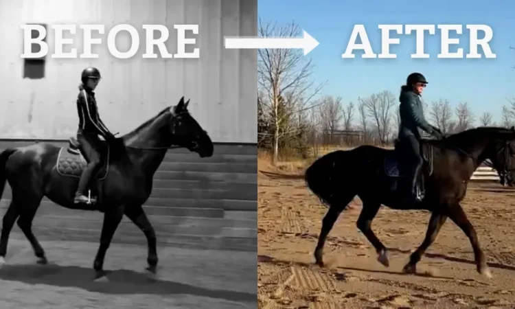 Side-by-side images labeled “Before” (left, indoors, black and white) and “After” (right, outdoors, color) show a person riding a horse, highlighting progress or change in their riding.