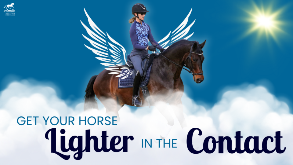 A rider in equestrian gear sits on a dark horse, both surrounded by clouds. White illustrated wings are on the rider’s back. Text reads: Get your horse lighter in the contact with a Lighter Touch. A bright sun shines in the sky.