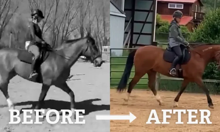 Split image showing a rider on a horse in black and white labeled “BEFORE” on the left, and the same rider and horse in color labeled “AFTER” on the right. The horse’s posture appears improved in the “AFTER” image.