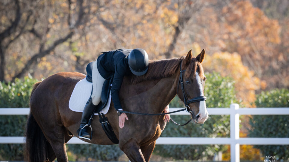 A rider in equestrian attire, possibly a Strides member like Kate, leans forward to hug their brown horse, showing affection in an outdoor arena with a white fence and autumn trees in the background.
