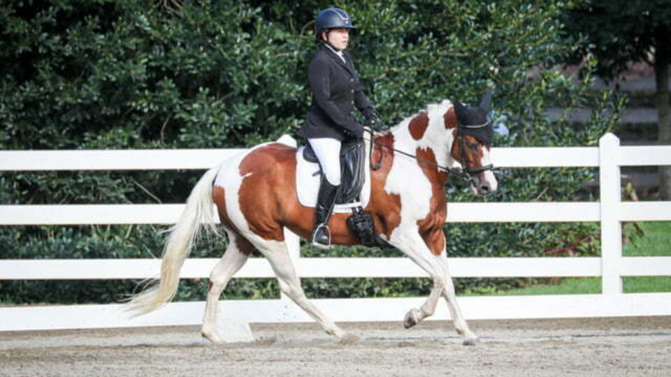 Claudia, dressed in equestrian attire, rides a brown and white pinto horse in an outdoor arena bordered by a white fence and green trees—perfect inspiration to train your eye for detail.