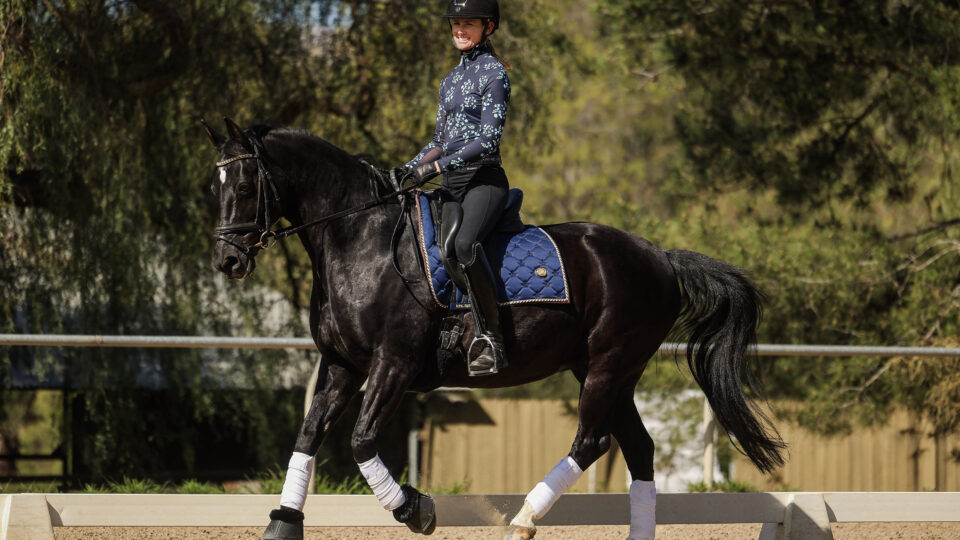 How to Improve Your Horse’s Canter