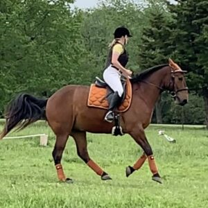 A rider in a helmet and vest is riding a brown horse with orange saddle pad and leg wraps across a grassy field, surrounded by trees.