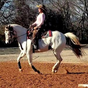 A person in a hat and pink shirt rides a white and brown horse across a sandy outdoor arena, with trees and dry grass in the background.