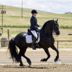 A rider in formal equestrian attire and helmet guides a black horse through a dressage routine in an outdoor sandy arena, with green fields and power lines in the background.