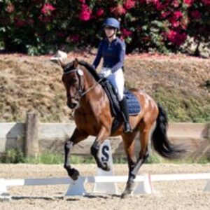 Strides Member Hannah, wearing a helmet and riding attire, is riding a brown horse in a dressage arena outdoors, with flowers and greenery in the background and white markers on the sandy ground.