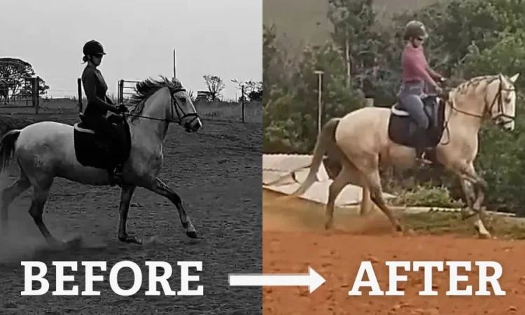 Split image shows a person riding a horse. Left side (black and white), labeled Before, shows the horse kicking up dust. Right side (color), labeled After, shows the horse trotting smoothly on a dirt track.
