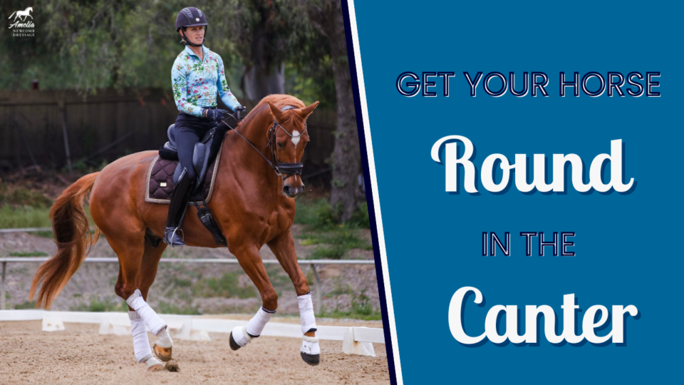 A rider in a patterned shirt and helmet rides a chestnut horse in an outdoor arena, working to get the horse round in the canter. Text on the right reads: Get your horse round in the canter.