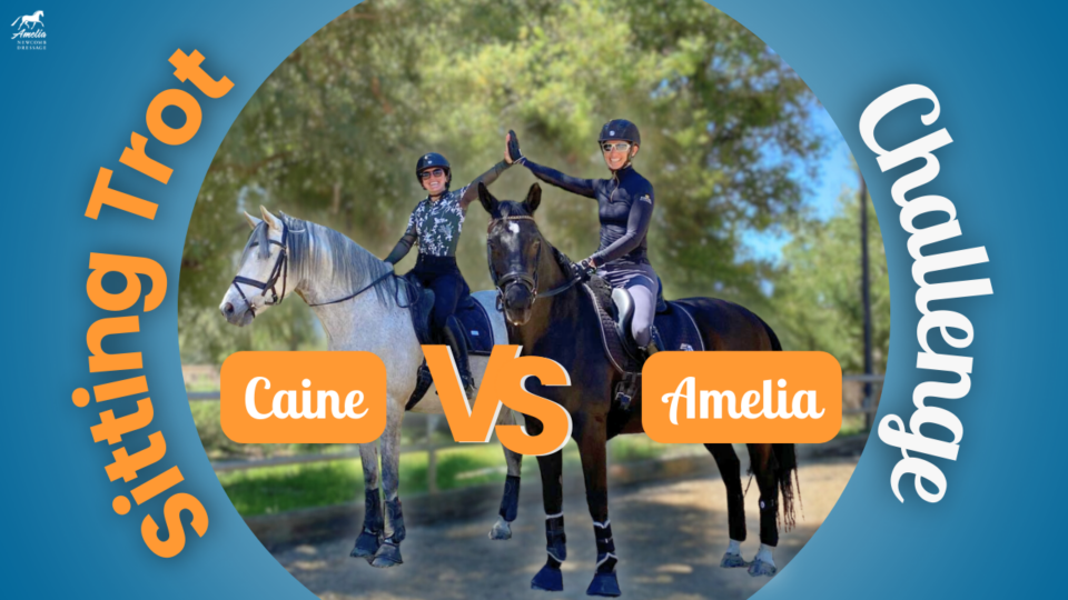 Two riders, Caine and Amelia, high-five on horseback under the trees. Text reads "Sit the Trot Challenge" and "Caine VS Amelia" in orange and white on a blue background.