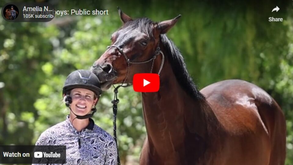 A smiling person in a helmet and patterned shirt stands next to a brown horse with a bridle, outdoors with green foliage in the background. This paused YouTube video is part of an introduction to Amelia's Horses, with visible play and share buttons.