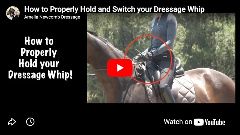 YouTube video thumbnail shows a person riding a horse, using a dressage whip. Text on the left reads, How to Properly Hold your Dressage Whip! The person's hands are circled in red, demonstrating how to hold dressage whip correctly.
