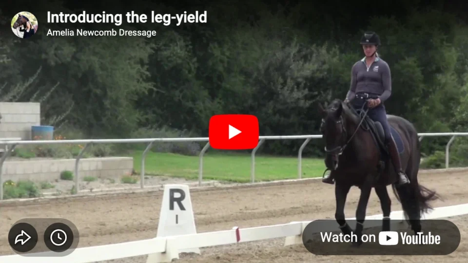 A person rides a dark horse along a dressage arena marked with R, demonstrating Leg-Yield. The rider wears a helmet and dark clothing, with greenery and a railing in the background. A YouTube play button overlays the image.
